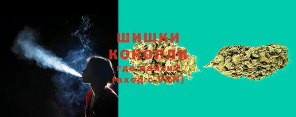 ПСИЛОЦИБИНОВЫЕ ГРИБЫ Верхний Тагил