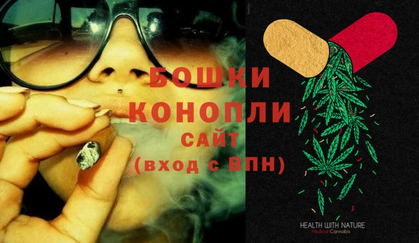 ПСИЛОЦИБИНОВЫЕ ГРИБЫ Верхний Тагил