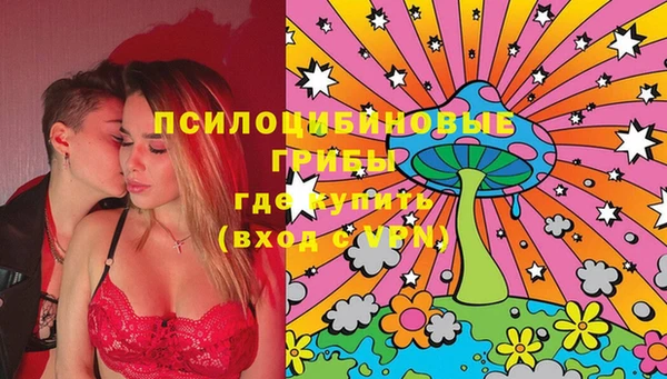 ПСИЛОЦИБИНОВЫЕ ГРИБЫ Верхний Тагил