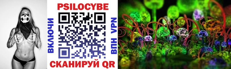 где купить   Кинель  kraken онион  Псилоцибиновые грибы ЛСД 